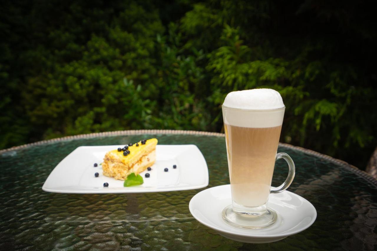 Villa Garden Hotel 索洛钦 外观 照片