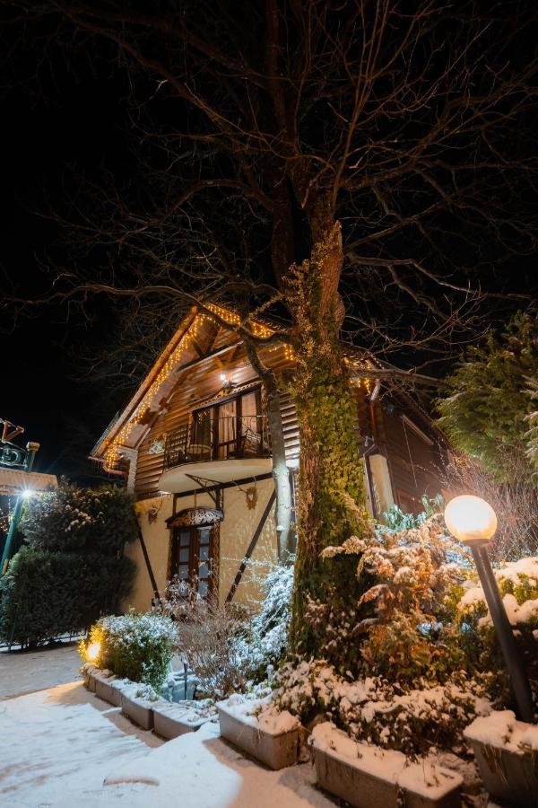 Villa Garden Hotel 索洛钦 外观 照片